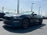 Certified 2022 Ford Mustang Premium image 4