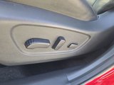 Used 2019 Nissan Rogue SL w/ Premium Package image 4