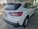 Used 2022 Ford Escape SE image 6