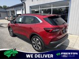 New 2025 Ford Escape Platinum image 4