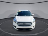 Used 2019 Ford Escape Titanium image 3