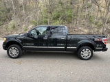 Used 2010 Ford F150 Platinum image 3
