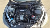 Used 2014 Honda Accord EX-L image 3