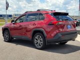 Used 2024 Toyota RAV4 XLE Premium image 3