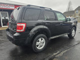 Used 2009 Ford Escape XLT image 6