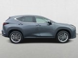 New 2025 Lexus NX 350 AWD w/ Accessory Package (2T) image 4
