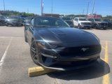Used 2019 Ford Mustang Premium image 2