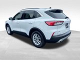 Used 2020 Ford Escape SE image 3