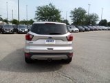 Used 2019 Ford Escape SE image 4