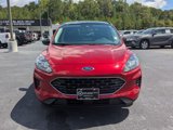 Used 2022 Ford Escape SE w/ SE Sport Appearance Package image 2