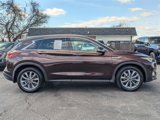 Used 2021 INFINITI QX50 Luxe image 2
