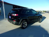 Used 2019 Jeep Cherokee Trailhawk w/ Cold Weather Group image 3