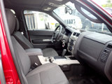 Used 2010 Ford Escape XLT image 6