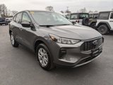 Used 2025 Ford Escape Active w/ Tech Pack #1 image 3