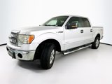 Used 2013 Ford F150 XLT w/ XLT Chrome Pkg image 2