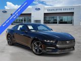 Certified 2024 Ford Mustang Premium image 1