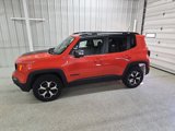 Used 2019 Jeep Renegade Trailhawk image 2