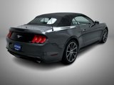 Used 2019 Ford Mustang Premium w/ Equipment Group 201A image 5