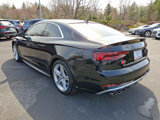 Used 2019 Audi S5 Premium Plus w/ Premium Plus image 4