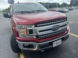 Used 2019 Ford F150 XLT w/ Equipment Group 302A Luxury image 2