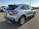 Used 2021 Ford Escape SE w/ Convenience Package image 3