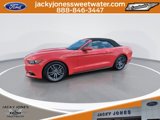 Certified 2017 Ford Mustang Premium image 4