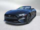 Used 2022 Ford Mustang Premium image 5