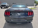 Used 2023 Ford Mustang Premium image 4