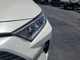 Used 2019 Toyota RAV4 Limited image 3