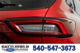 New 2025 Ford Escape ST-Line w/ Tech Pack #1 image 6