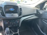 Used 2019 Ford Escape SE image 5
