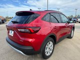New 2025 Ford Escape Active w/ Active Premium Tech Pack image 5