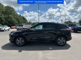 Certified 2024 Ford Escape ST-Line w/ Equipment Group 301A image 5