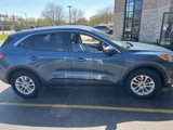 Used 2020 Ford Escape SE image 2