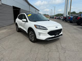 Used 2020 Ford Escape Titanium image 2