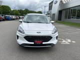 Used 2021 Ford Escape SE w/ Cold Weather Package image 2