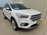 Used 2019 Ford Escape Titanium image 2