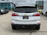 Used 2019 Chevrolet Equinox Premier image 5