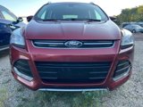 Used 2016 Ford Escape Titanium image 2