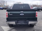 Used 2013 Ford F150 XLT w/ Luxury Equipment Group image 4
