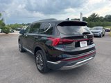 Used 2023 Hyundai Santa Fe Limited image 5