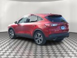 Certified 2022 Ford Escape SE w/ SE Sport Appearance Package image 4