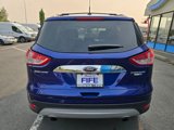 Used 2014 Ford Escape Titanium w/ Equipment Group 401A image 4