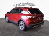 Used 2020 Ford Escape SEL image 5