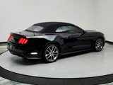 Used 2016 Ford Mustang Premium w/ Equipment Group 201A image 5