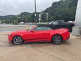 New 2025 Ford Mustang Premium image 4