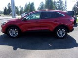 Used 2022 Ford Escape SE w/ Convenience Package image 2