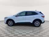 Used 2022 Ford Escape SE w/ Cold Weather Package image 4