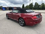 Used 2015 Ford Mustang Convertible w/ Equipment Group 051A image 5