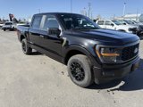 New 2025 Ford F150 STX image 3